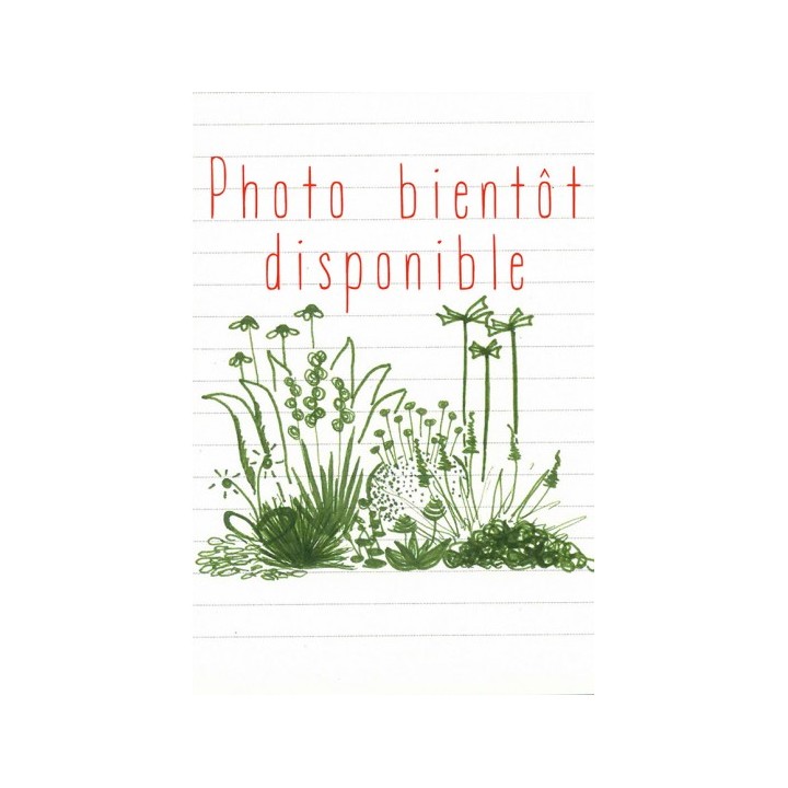 Rudbeckia fulgida var.speciosa