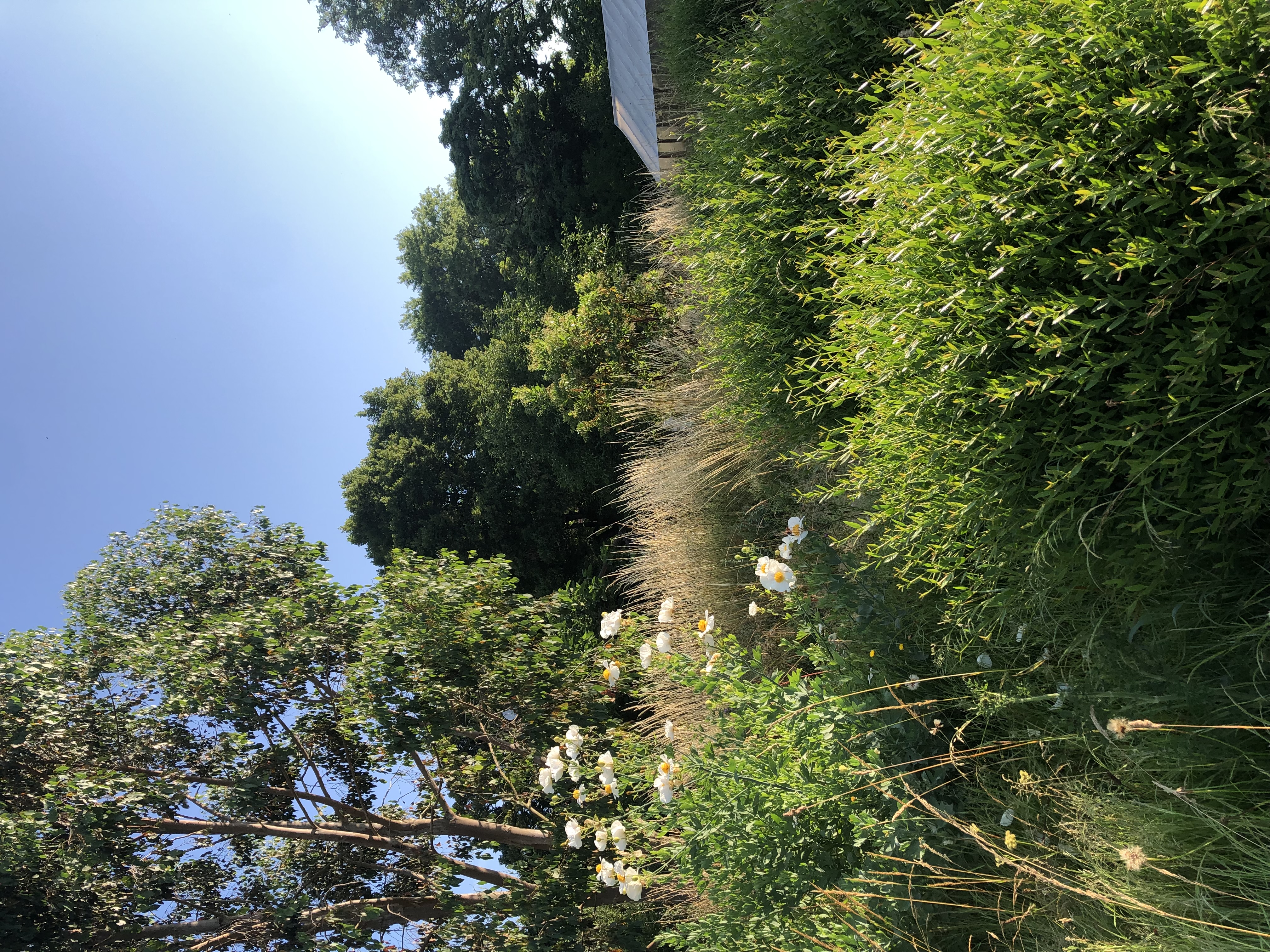 Jardin naturel en dordogne